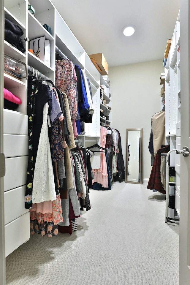 walk in closet with carpet flooring