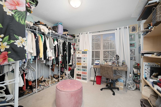 spacious closet with carpet flooring