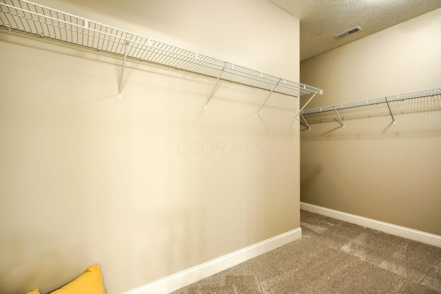 walk in closet featuring carpet flooring and visible vents