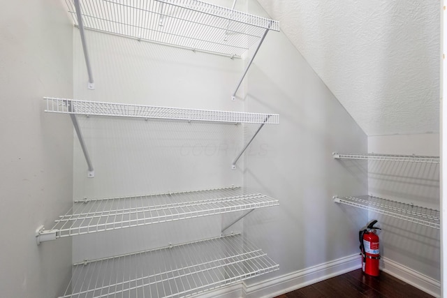 spacious closet featuring dark wood-style flooring