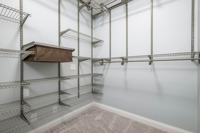 walk in closet featuring carpet