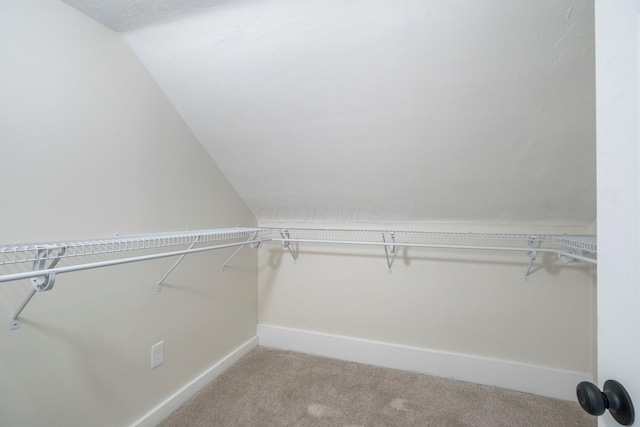 spacious closet featuring lofted ceiling and carpet