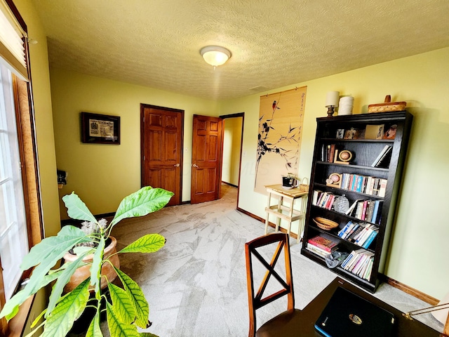 interior space featuring carpet, a textured ceiling, and baseboards