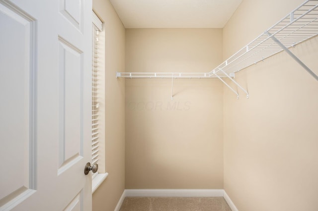 spacious closet with carpet floors