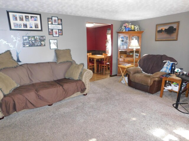 17916 Allen Center Rd, Marysville, OH 43040 - living area featuring carpet floors and a textured ceiling