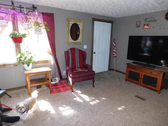 17916 Allen Center Rd, Marysville, OH 43040 - living room featuring a textured ceiling, carpet, and visible vents