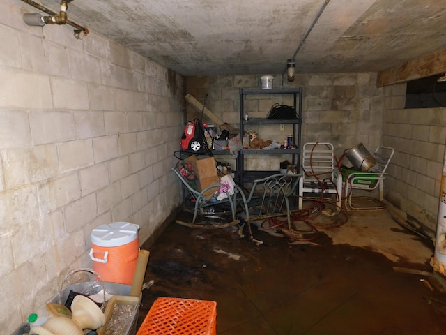 17916 Allen Center Rd, Marysville, OH 43040 - basement with concrete block wall