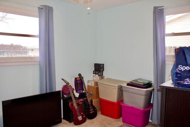 bedroom featuring light colored carpet and multiple windows