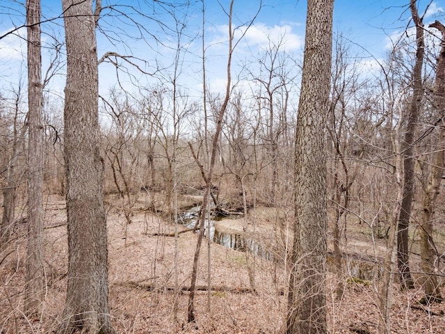 767 London Groveport Rd, Lockbourne, OH 43137 - view of local wilderness