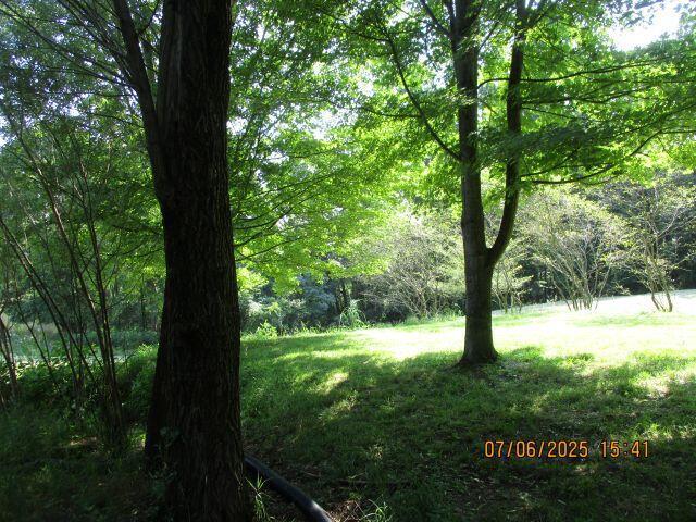 24366 Brown Rd, South Bloomingville, OH 43152 - photo 6