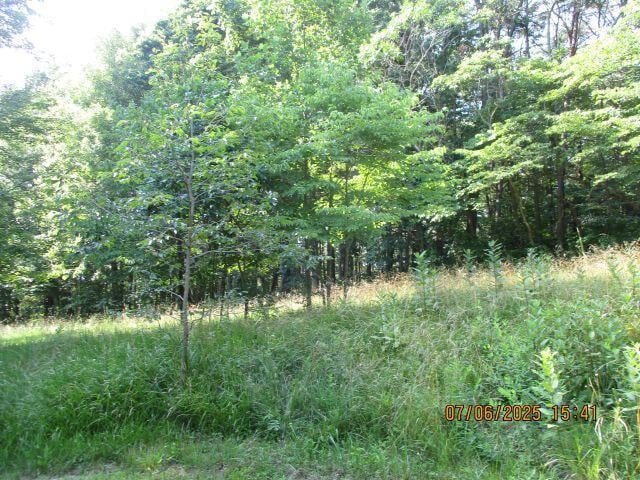 24366 Brown Rd, South Bloomingville, OH 43152 - photo 7