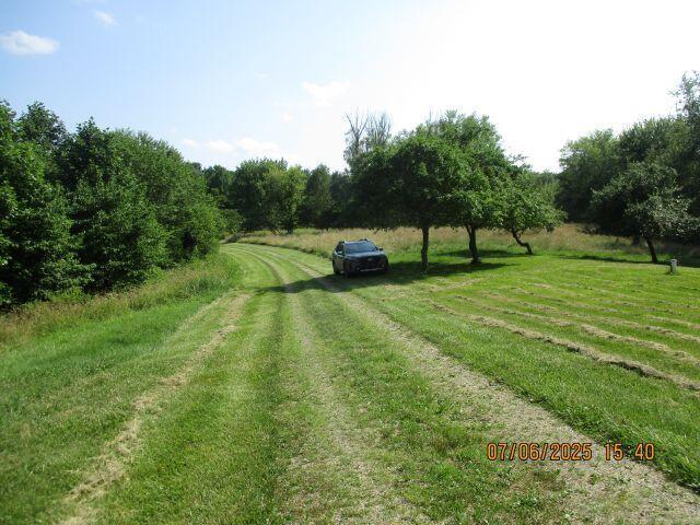 24366 Brown Rd, South Bloomingville, OH 43152 - photo 9