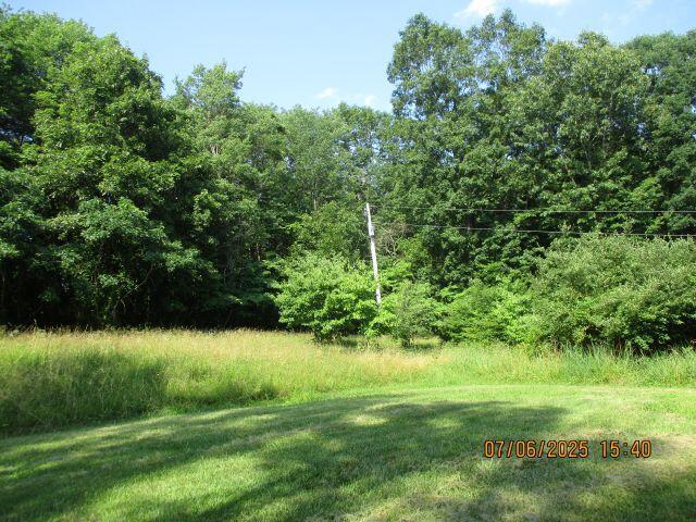 24366 Brown Rd, South Bloomingville, OH 43152 - photo 8