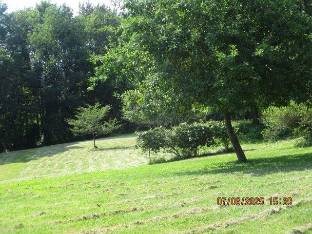 24366 Brown Rd, South Bloomingville, OH 43152 - photo 5