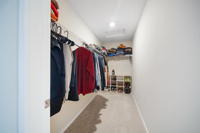 walk in closet with attic access and carpet flooring