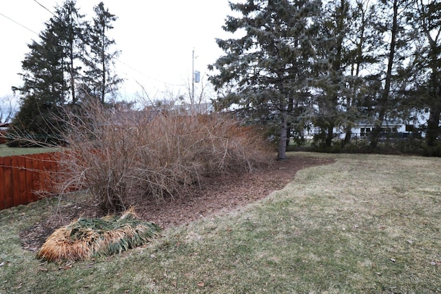 view of yard featuring fence