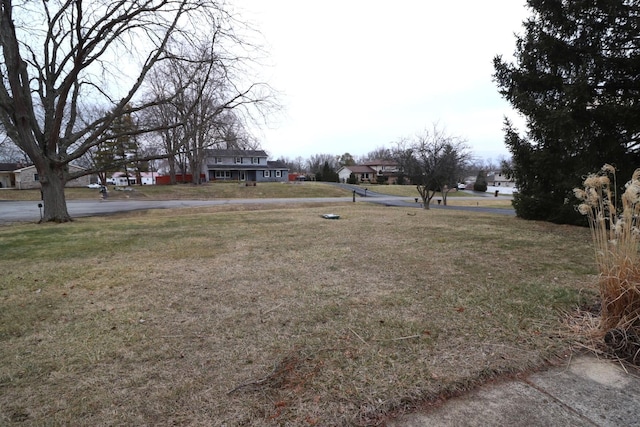 view of yard featuring a residential view