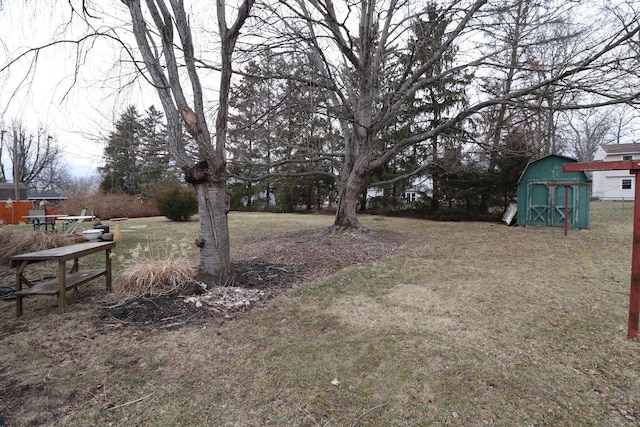 view of yard featuring a shed