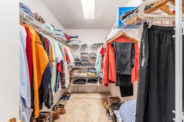 spacious closet featuring carpet flooring