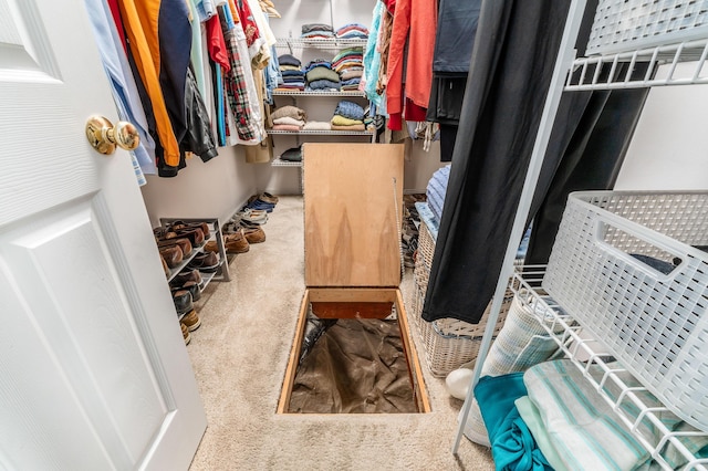 walk in closet featuring carpet flooring