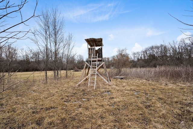 view of jungle gym