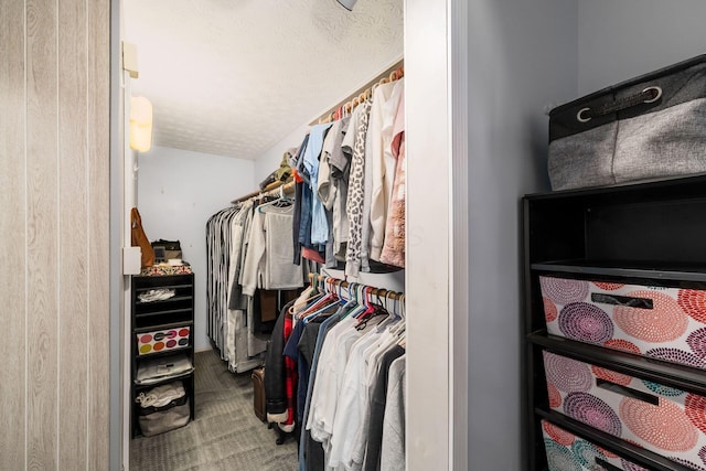 spacious closet featuring carpet