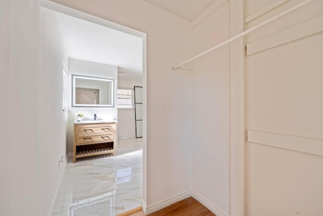 walk in closet with a sink