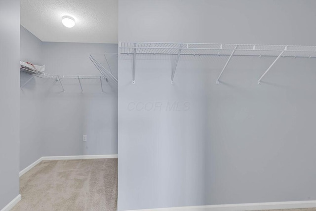 spacious closet with carpet floors