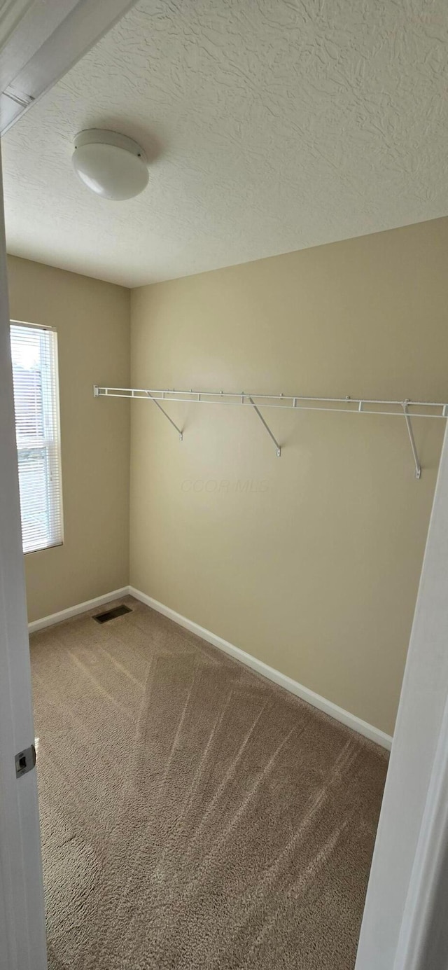 spacious closet with carpet floors