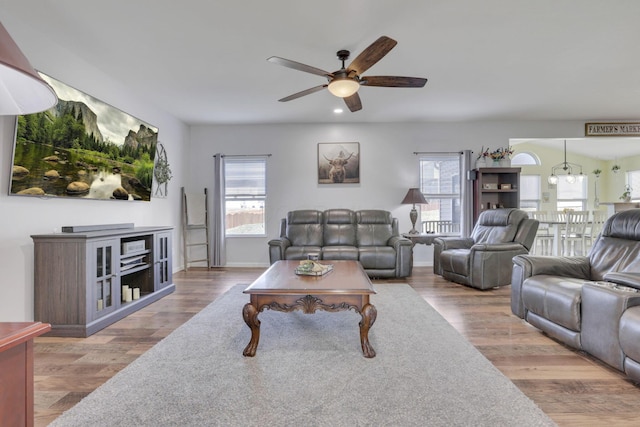 living room featuring ceiling fan with notable chandelier, plenty of natural light, and wood finished floors