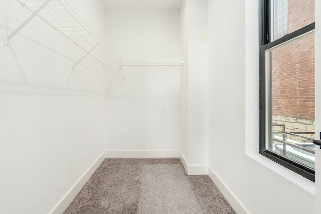 walk in closet featuring carpet floors