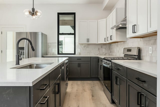 kitchen featuring light wood finished floors, decorative backsplash, appliances with stainless steel finishes, a sink, and under cabinet range hood