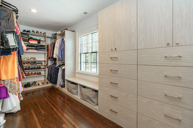 spacious closet featuring visible vents and dark wood finished floors