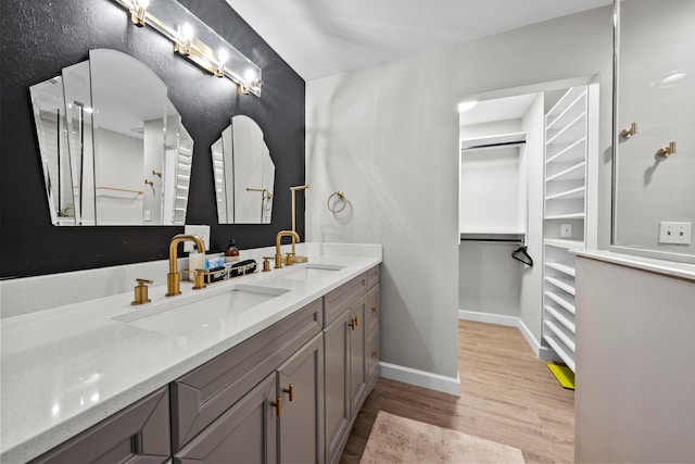 bathroom with baseboards, a walk in closet, a sink, and wood finished floors