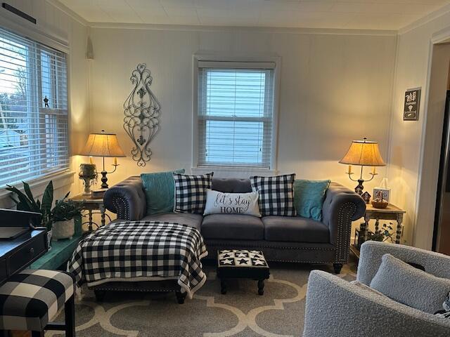 view of carpeted living room