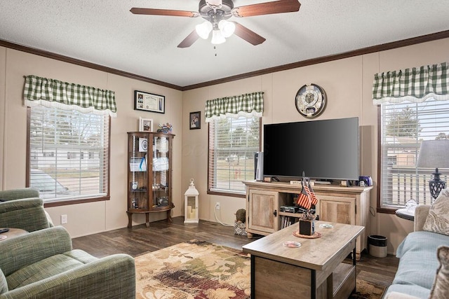 living room featuring a textured ceiling, dark wood-type flooring, and crown molding