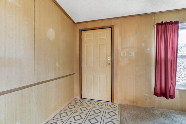 interior space with a healthy amount of sunlight, wooden walls, and a textured ceiling