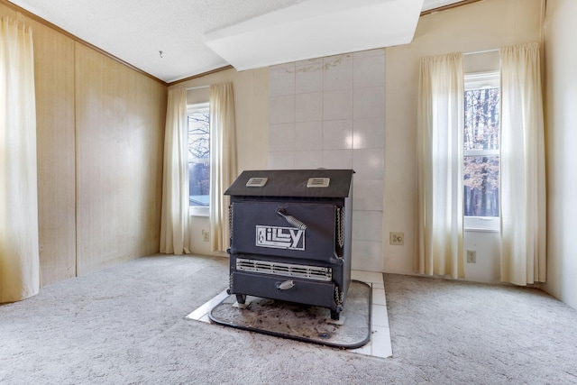 room details featuring carpet flooring and a wood stove