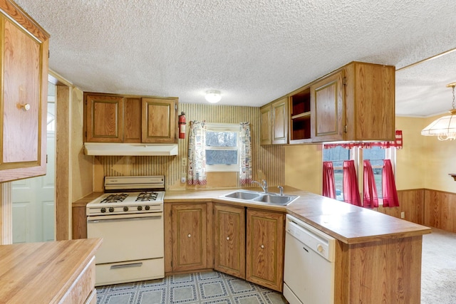 kitchen featuring under cabinet range hood, a wainscoted wall, white appliances, a sink, and light countertops