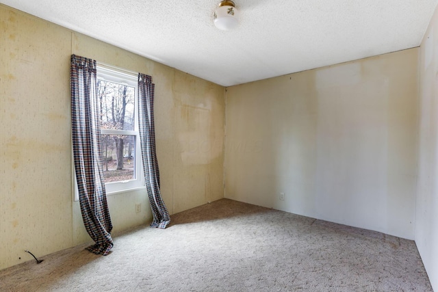 carpeted empty room with a textured ceiling