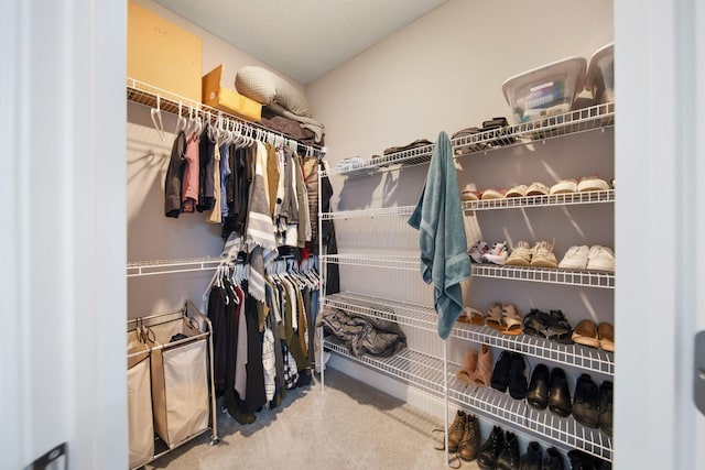 walk in closet with carpet flooring