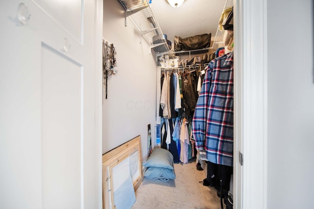 walk in closet featuring carpet flooring