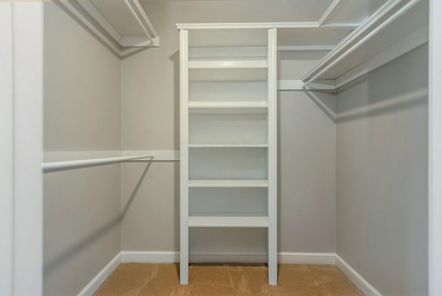 walk in closet featuring carpet floors