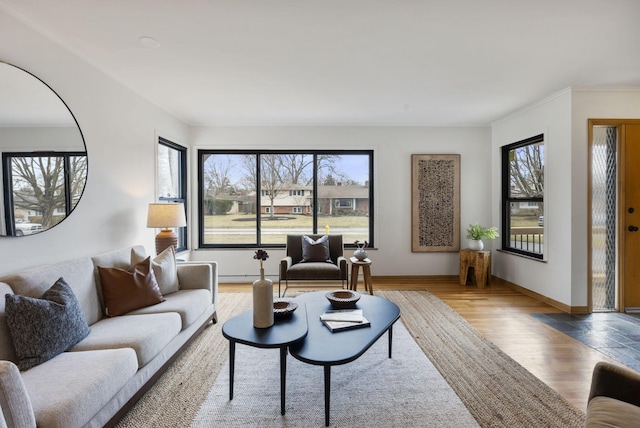 living room featuring a wealth of natural light, crown molding, baseboards, and wood finished floors