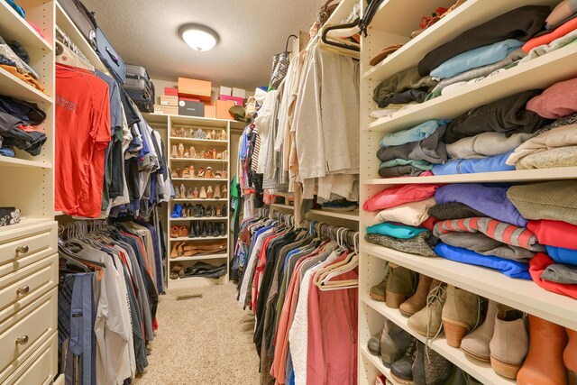 walk in closet with carpet flooring