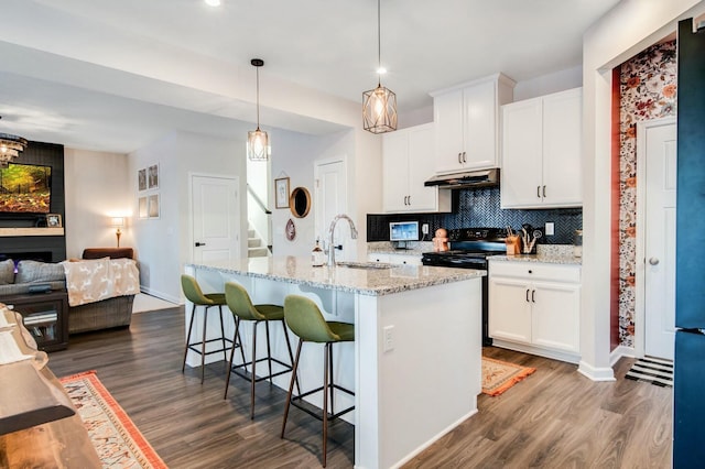 kitchen featuring decorative backsplash, dark wood-style floors, open floor plan, under cabinet range hood, and a sink