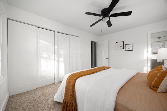 bedroom with carpet, a ceiling fan, and two closets