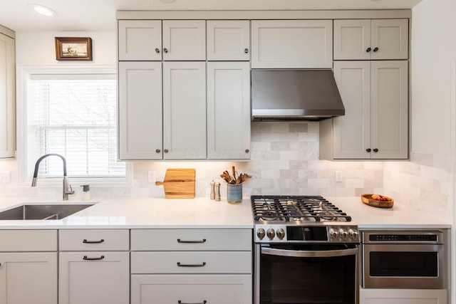 kitchen with stainless steel appliances, ventilation hood, a sink, and light countertops