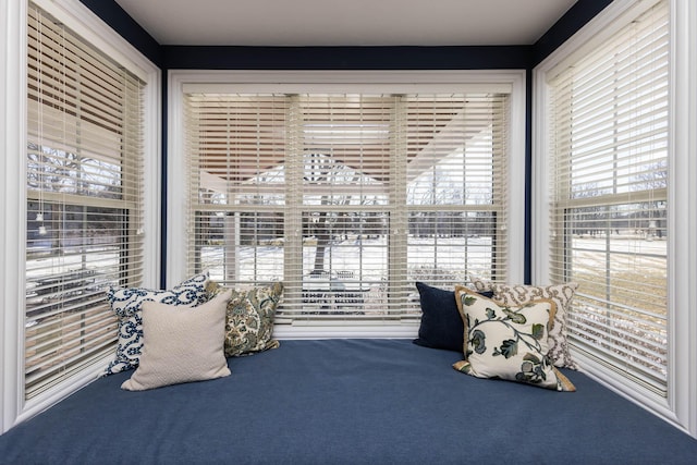 sitting room featuring carpet flooring