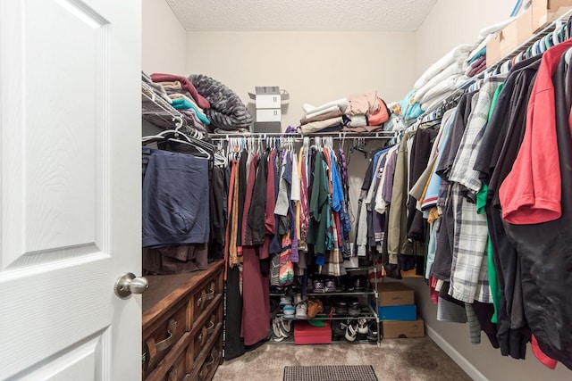 walk in closet featuring carpet floors